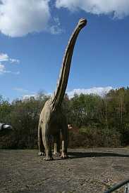 Dinosaurier Brachiosaurus